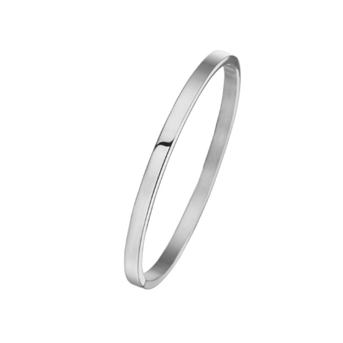 Dove Bangle Steel
