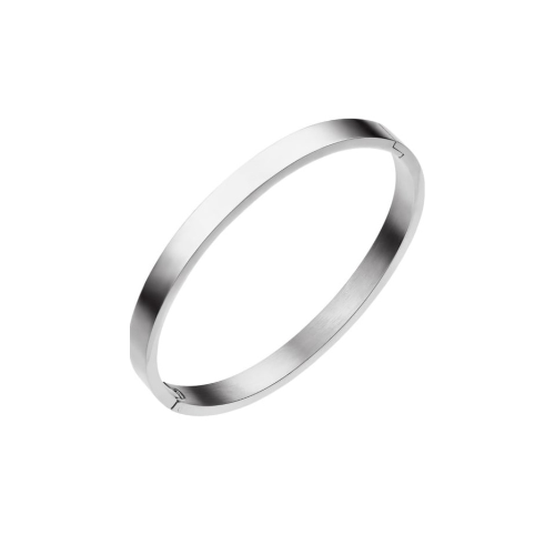 Dove Bangle Steel